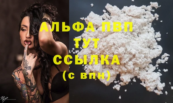 стафф Арсеньев