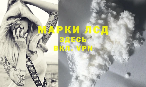 ешки Аркадак