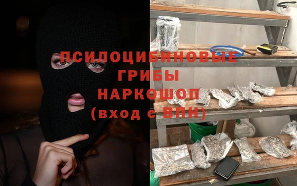 стафф Арсеньев