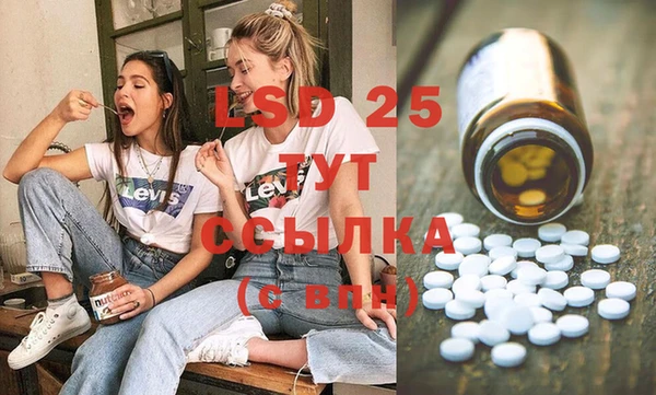 стафф Арсеньев