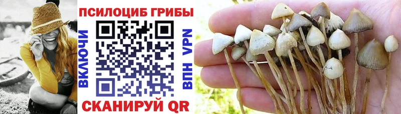Псилоцибиновые грибы Magic Shrooms  Вихоревка 